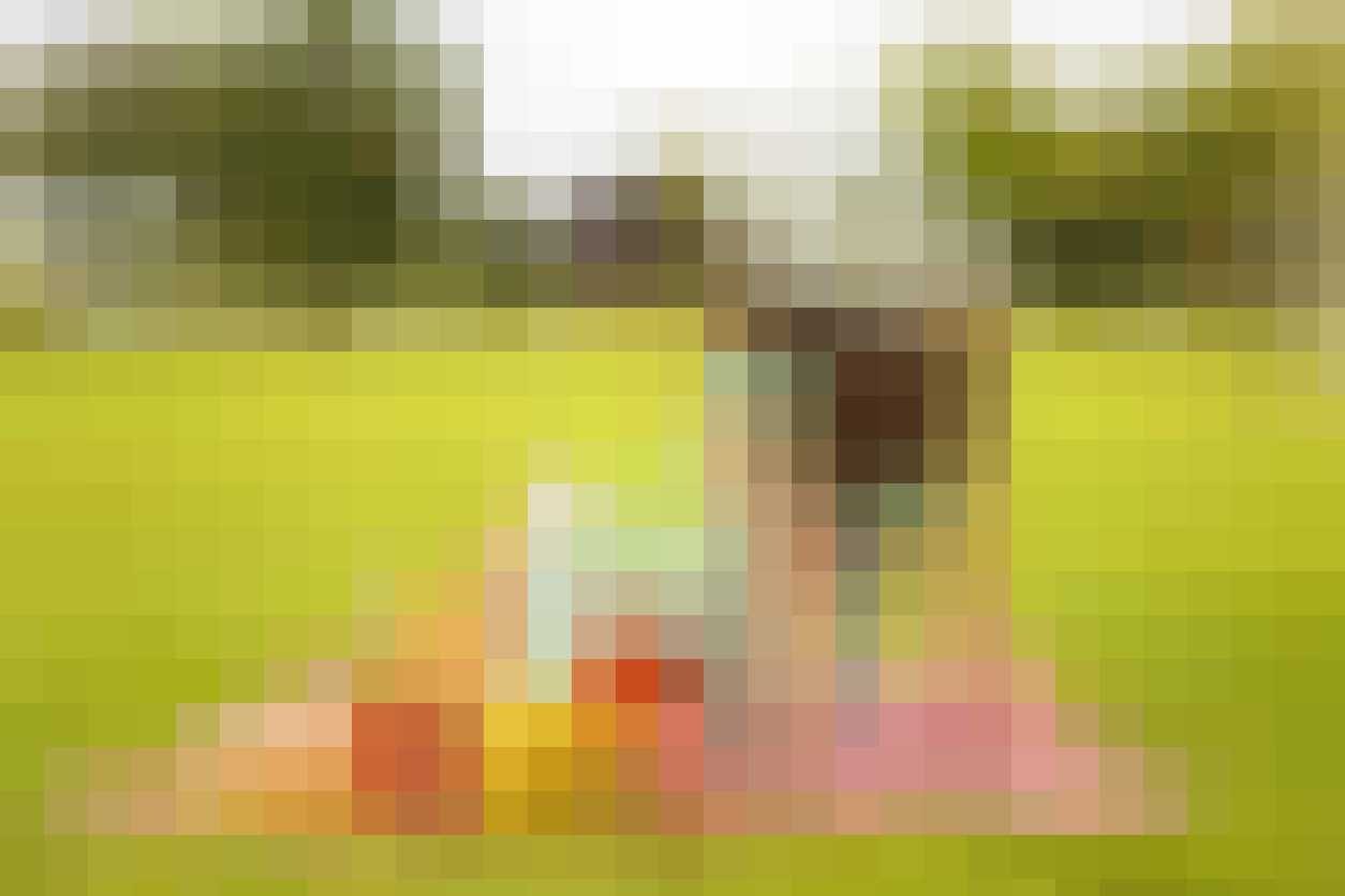 picknick