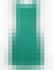 Sterrenbeeld stijl Waterman