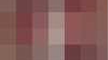 trend report: schotse ruit