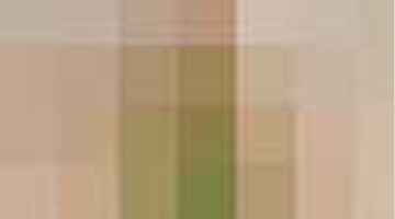 Maxima Steps Dress Like A Princess