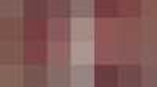 trend report: schotse ruit