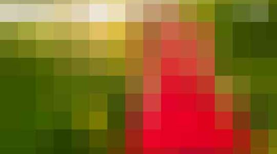dress-red-day-rode-jurken