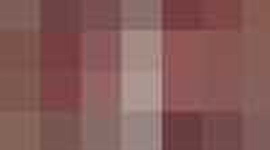 trend report: schotse ruit