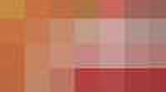 dobbelen met sinterklaas