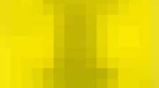 Drie Dwaze Dagen Bijenkorf 2013