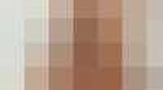 cara delevinge topmodel