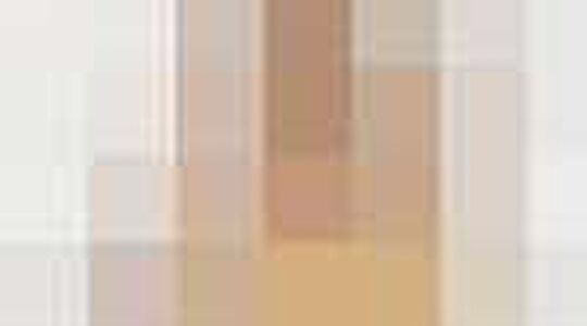 Illustratie voor: Tip: NIKKIE sample sale