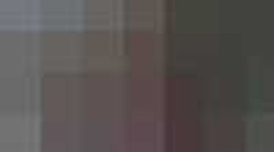 Cara Delevingne Mulberry | Jurkjes.nl