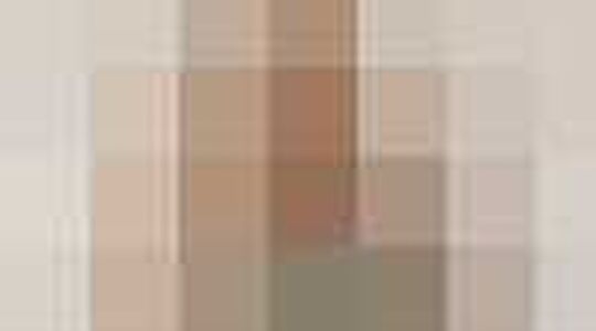 Color blocking jurkjes | Jurkjes.nl