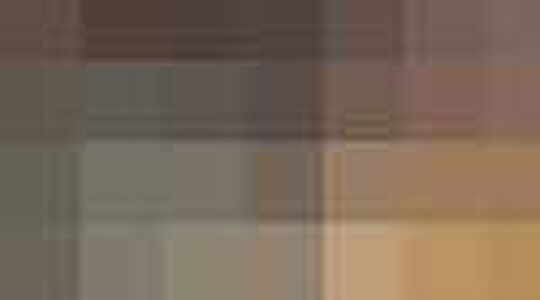 NYFW wordt exclusiever