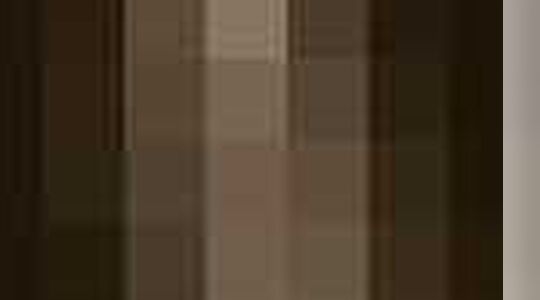 Illustratie voor: Claes Iversen ontwerpt collectie voor WE