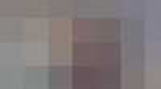 Webshop in de spotlight: De Bijenkorf