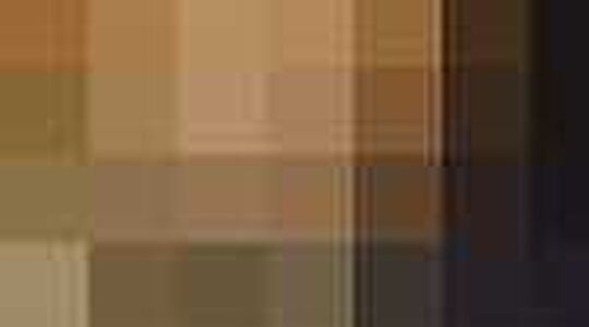 twitpic karlie kloss NYFW