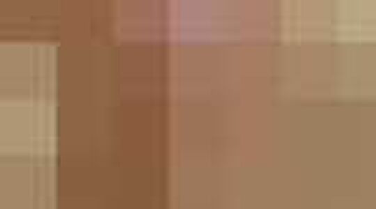 dichttips voor sinterklaas