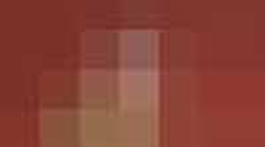 Stella McCartney voor Adidas | Jurkjes.nl