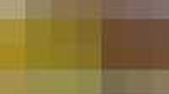 Drie Dwaze Dagen boekjes 2013