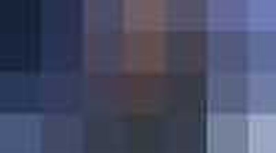 Trend report | Jurkjes.nl