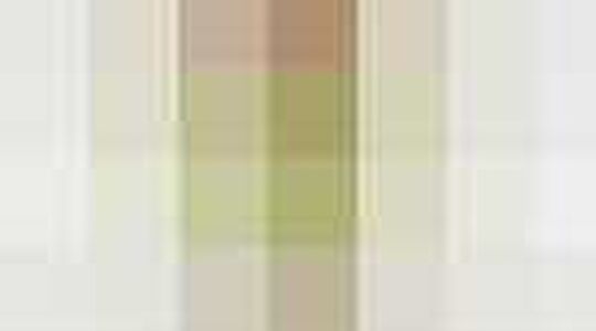 Duurzame mode in Nederland | Jurkjes.nl