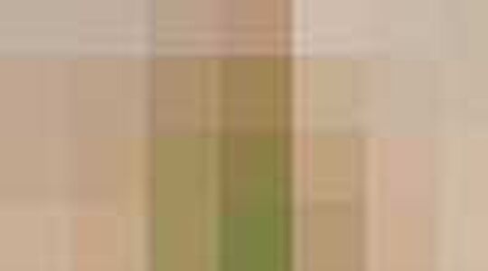 Maxima Steps Dress Like A Princess