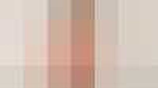 Tuniekjes online | Jurkjes.nl