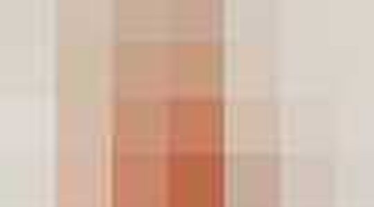 Party jurkjes online | Jurkjes.nl