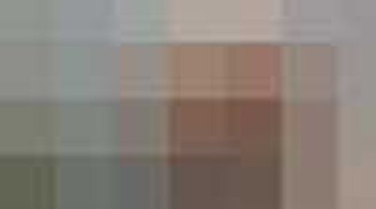 Kerst survival tips uitgelicht